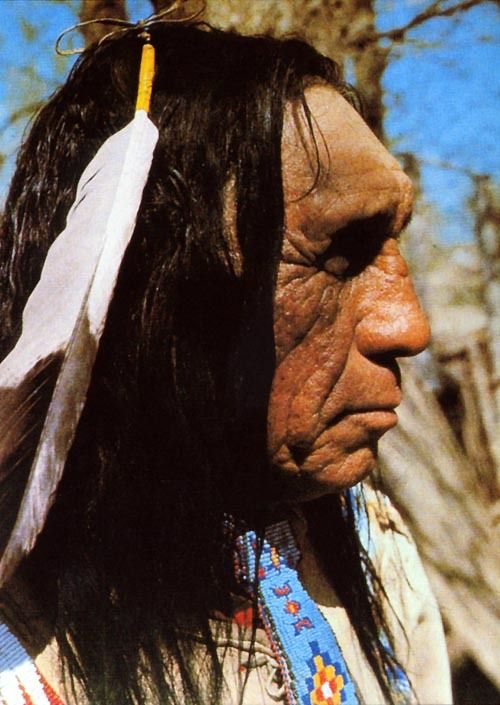 Lame Deer, Seeker Of Visions: The Life Of A Sioux Medicine Man by John Fire Lame Deer