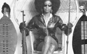 Discover the story of Assata Shakur and life as resistance—from the Turnpike shooting to exile in Cuba, she remains a symbol of freedom.